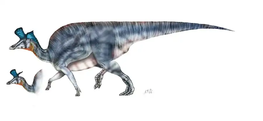 Lambeosaurus-unlobogris_f1a1.jpg