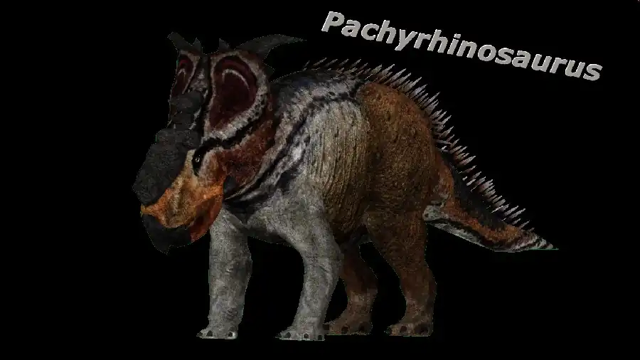 pachyrhinosaurus_by_ultamateterex2-d72jydv_e847.jpg