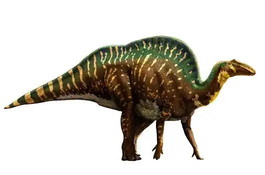 dino_ouranosaurus_ac8c.jpg