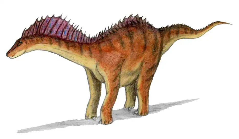 Amargasaurus.jpg