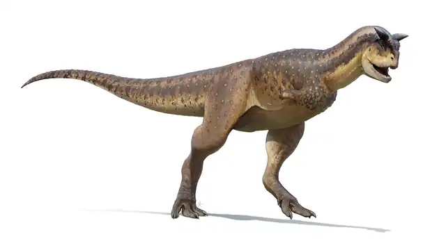 640px-Carnotaurus_Reconstruction_%282022%29.png