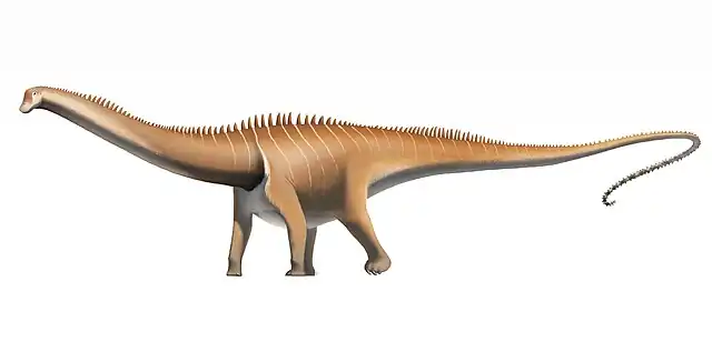 640px-Diplodocus_carnegii.jpg