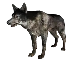 240px-Dog_FO3.png