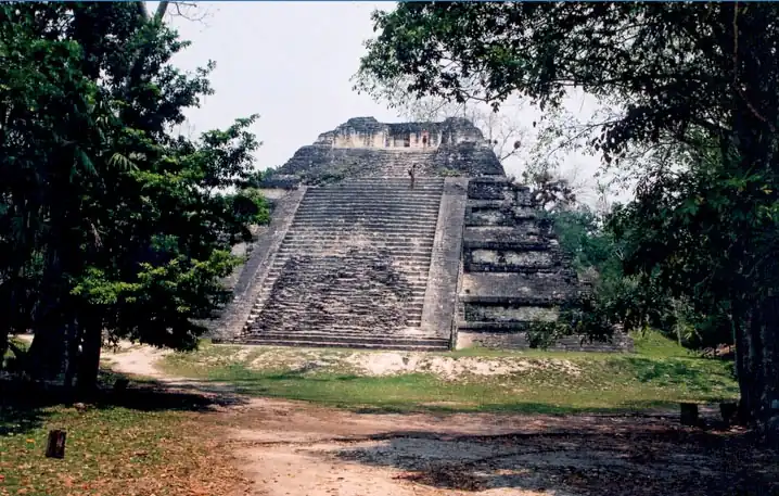 Webber, the copyright holder of this work, release this work into the public domain. This applies worldwide.  This file obtained from Wikimedia Commons.