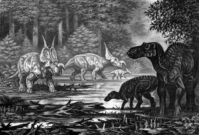 640px-Einiosaurus_and_Maiasaura.jpg