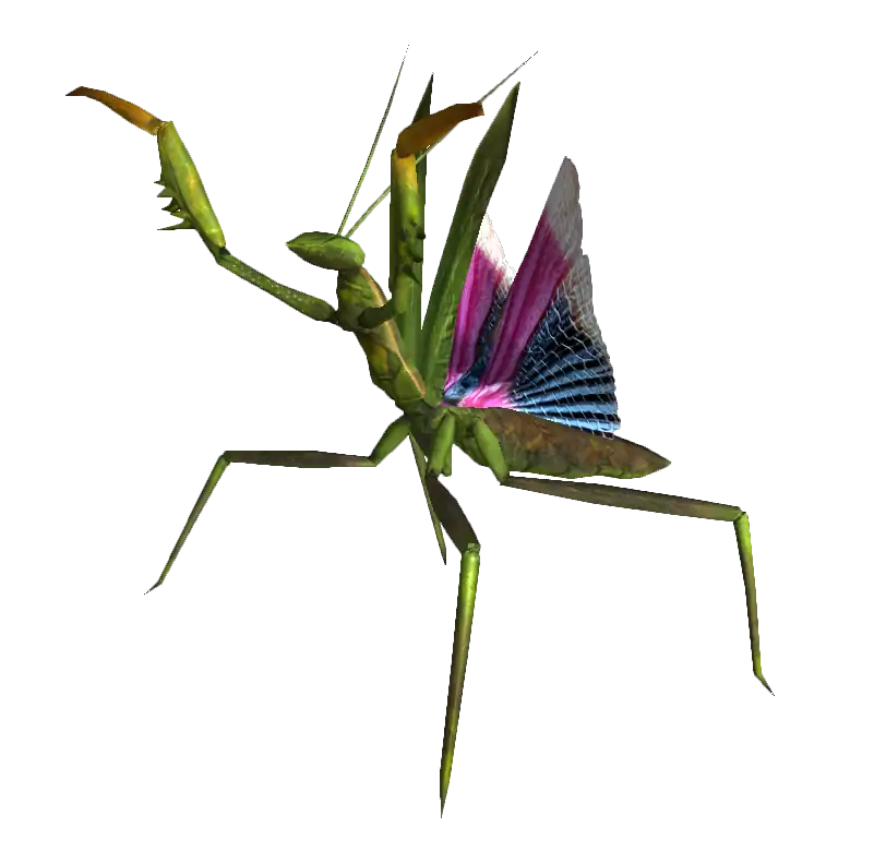 Giant_mantis_nypmh.png