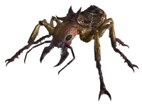 Giant_soldier_ant.png
