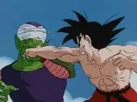 Goku_vs_Piccolo.jpg