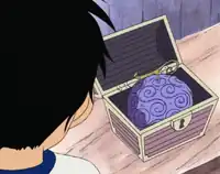 Gomu_Gomu_no_Mi_in_Chest.png