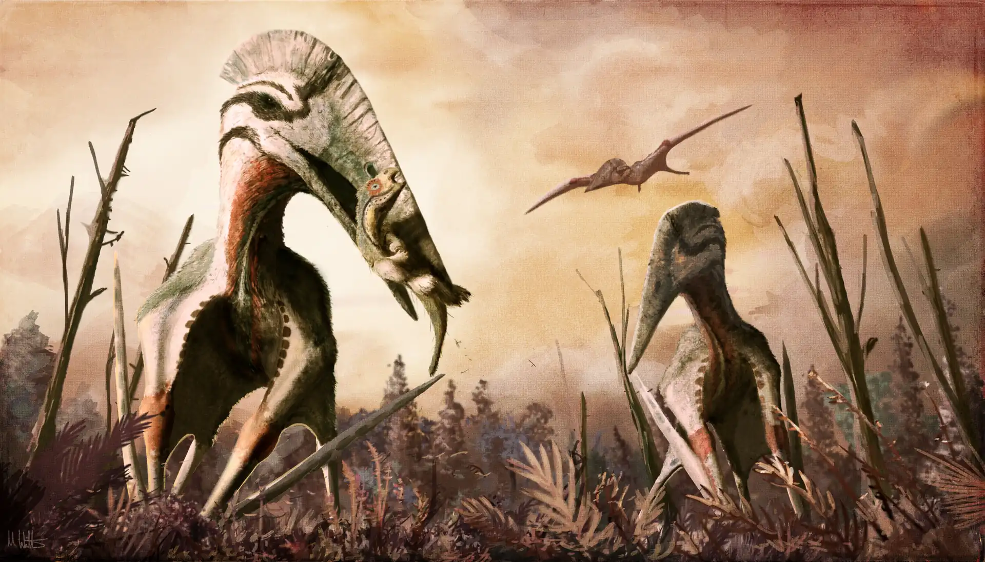 1920px-Hatzegopteryx.png