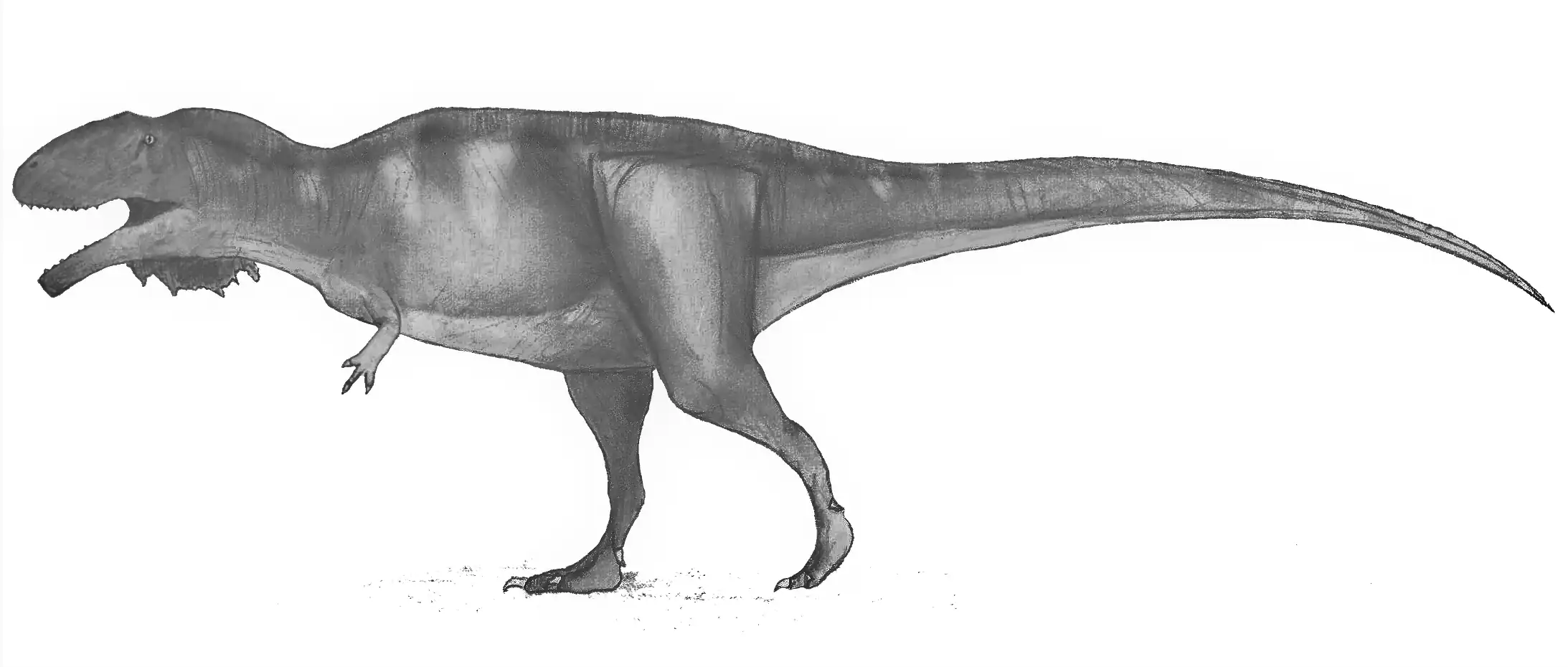Mapusaurus_Roseae_restoration.png