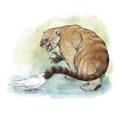 480px-Marsupial_lion_%28Thylacoleo_carnifex%29.png