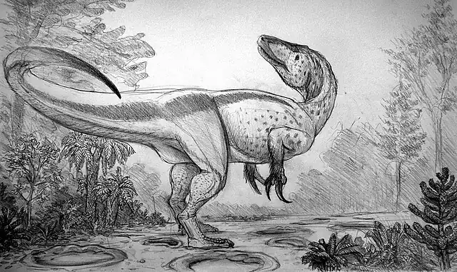 640px-Megaraptor_namunhuaiquii.jpg