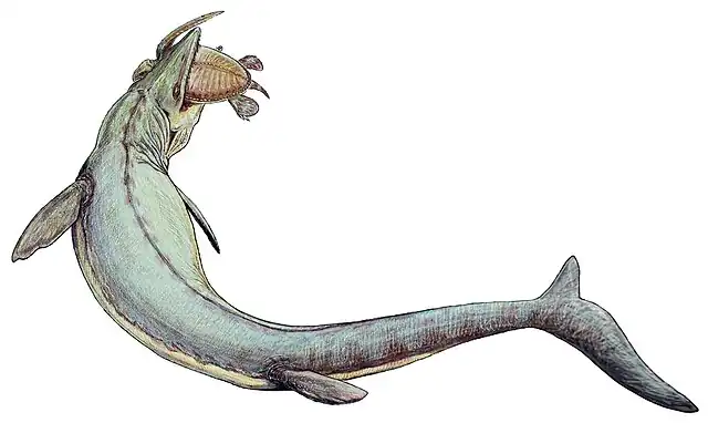 640px-Mosasaurus_21copy.jpg
