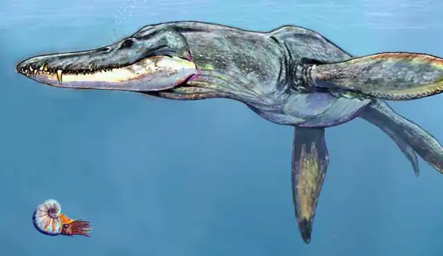 Pliosaurus_rossicus.jpg