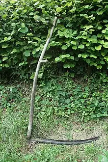 220px-Scythe_against_hedge.jpg