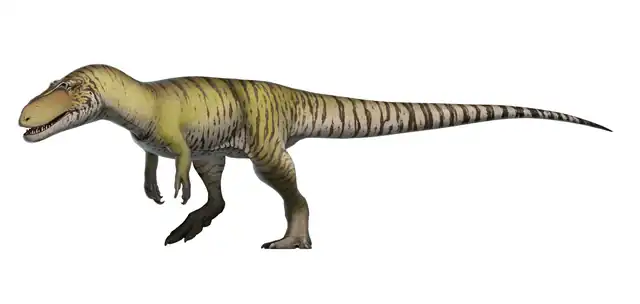 640px-Torvosaurus_tanneri_Reconstruction.png