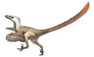 320px-Velociraptor_Restoration.png