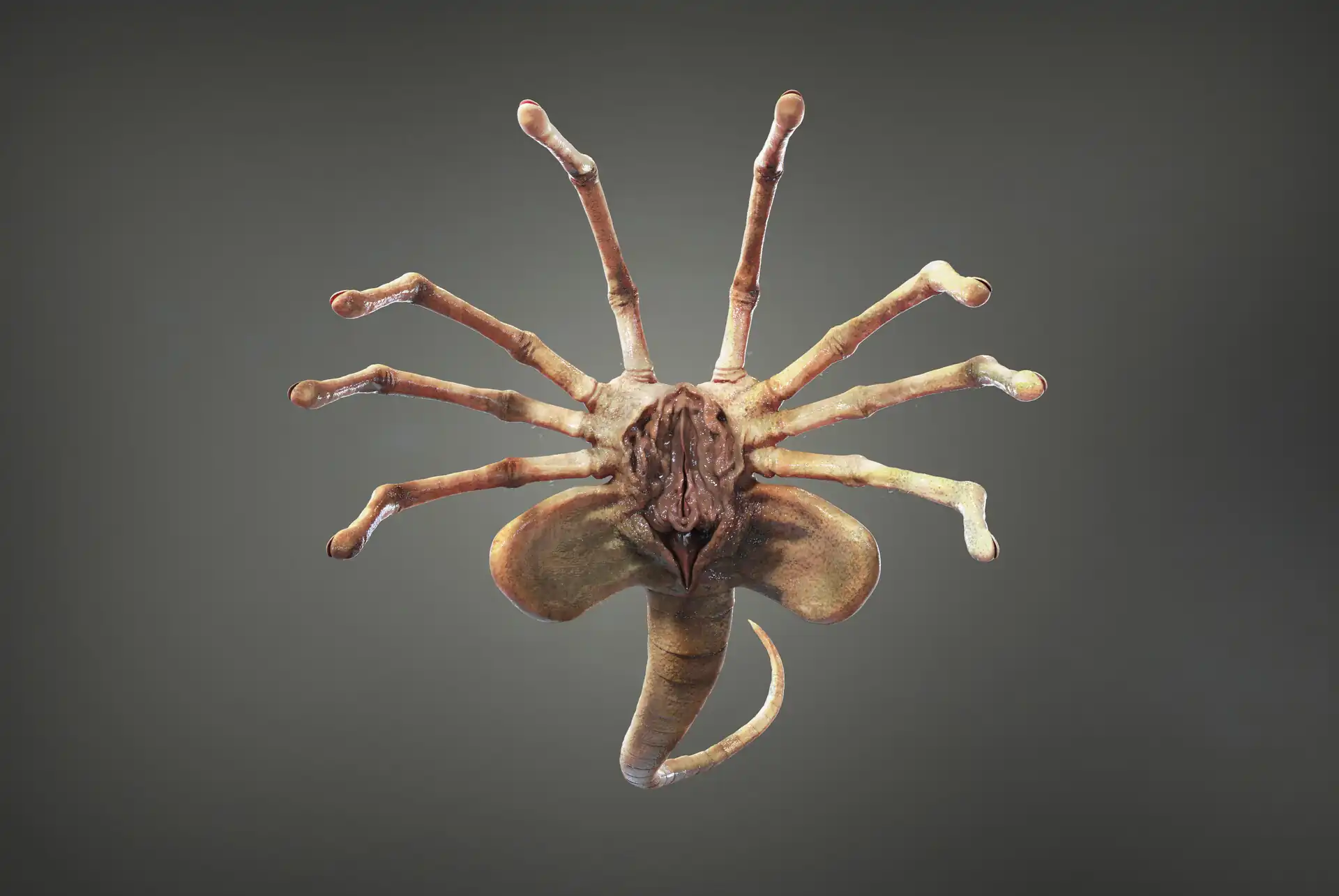 dmitry-gorodnichev-facehugger-main.jpg
