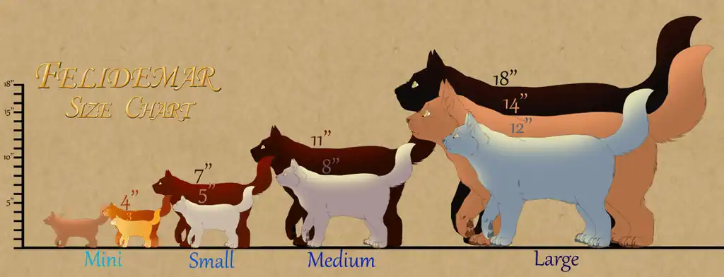 felidemar_cat_size_chart_by_lilwyverngirl_d9pndci-fullview.jpg