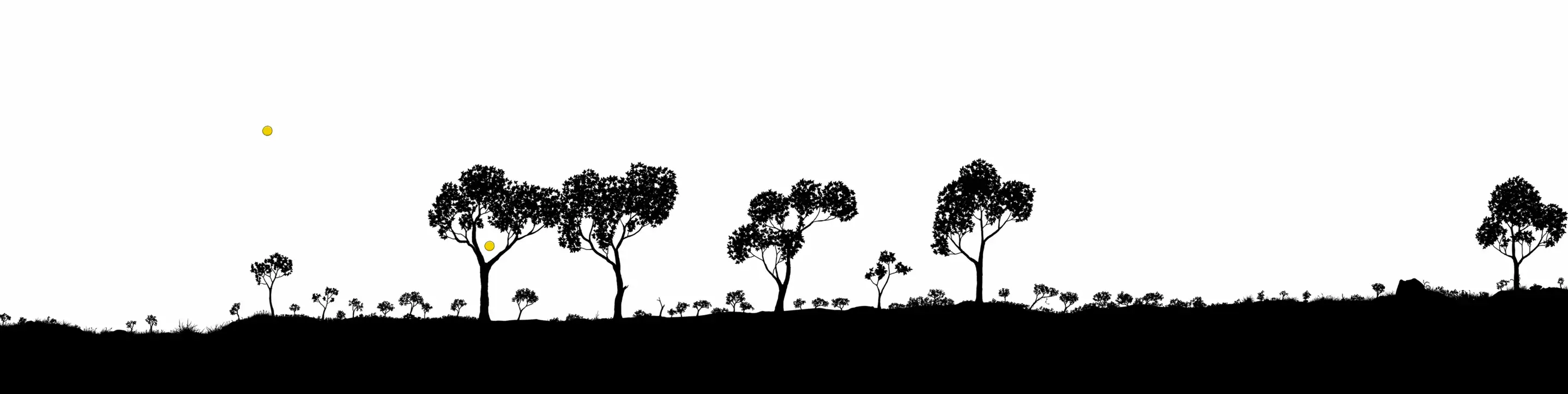 1608 1032x1074y Entire forest zoom out.png