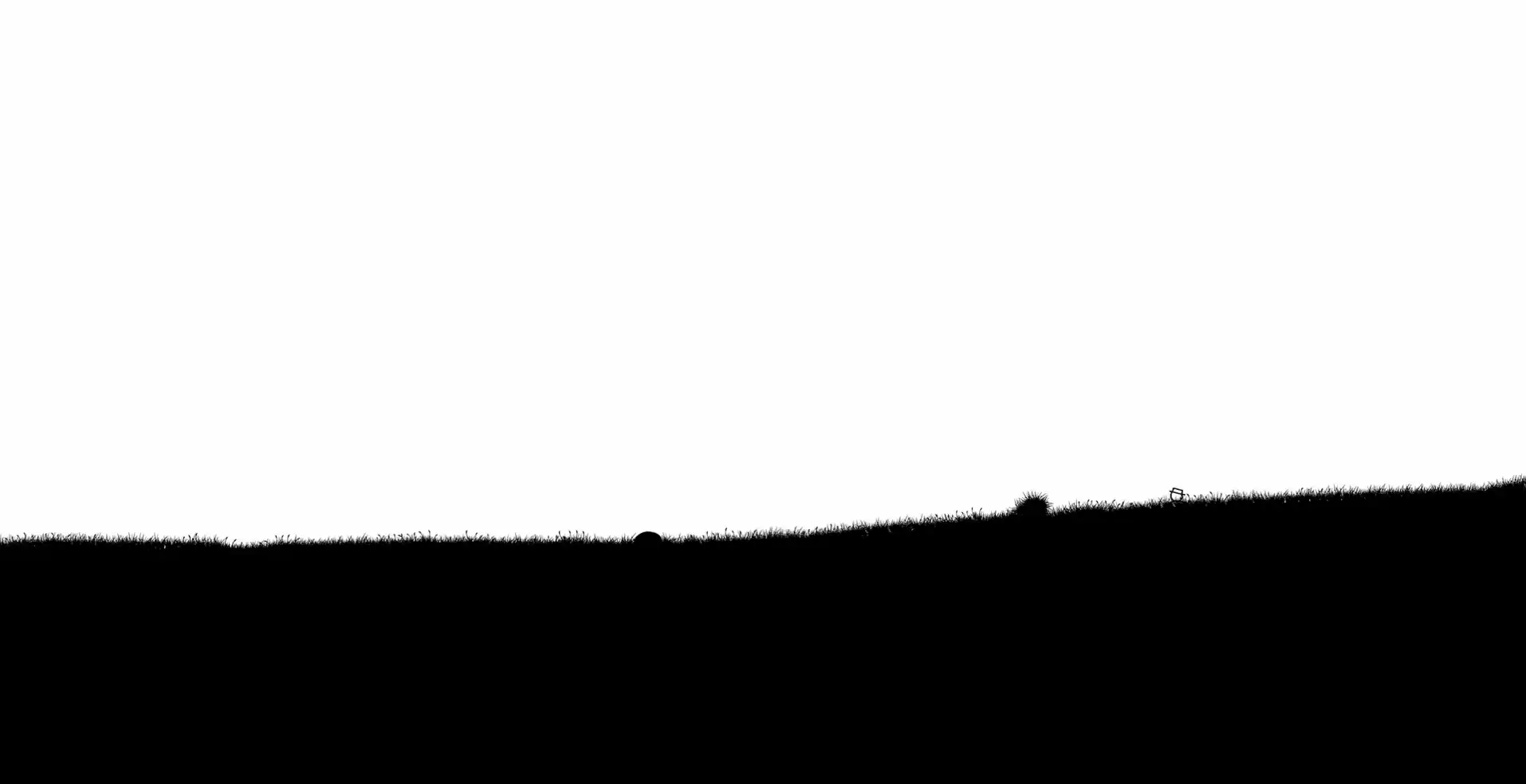 1608 1093x1074y White Hat hiding in the grass.png