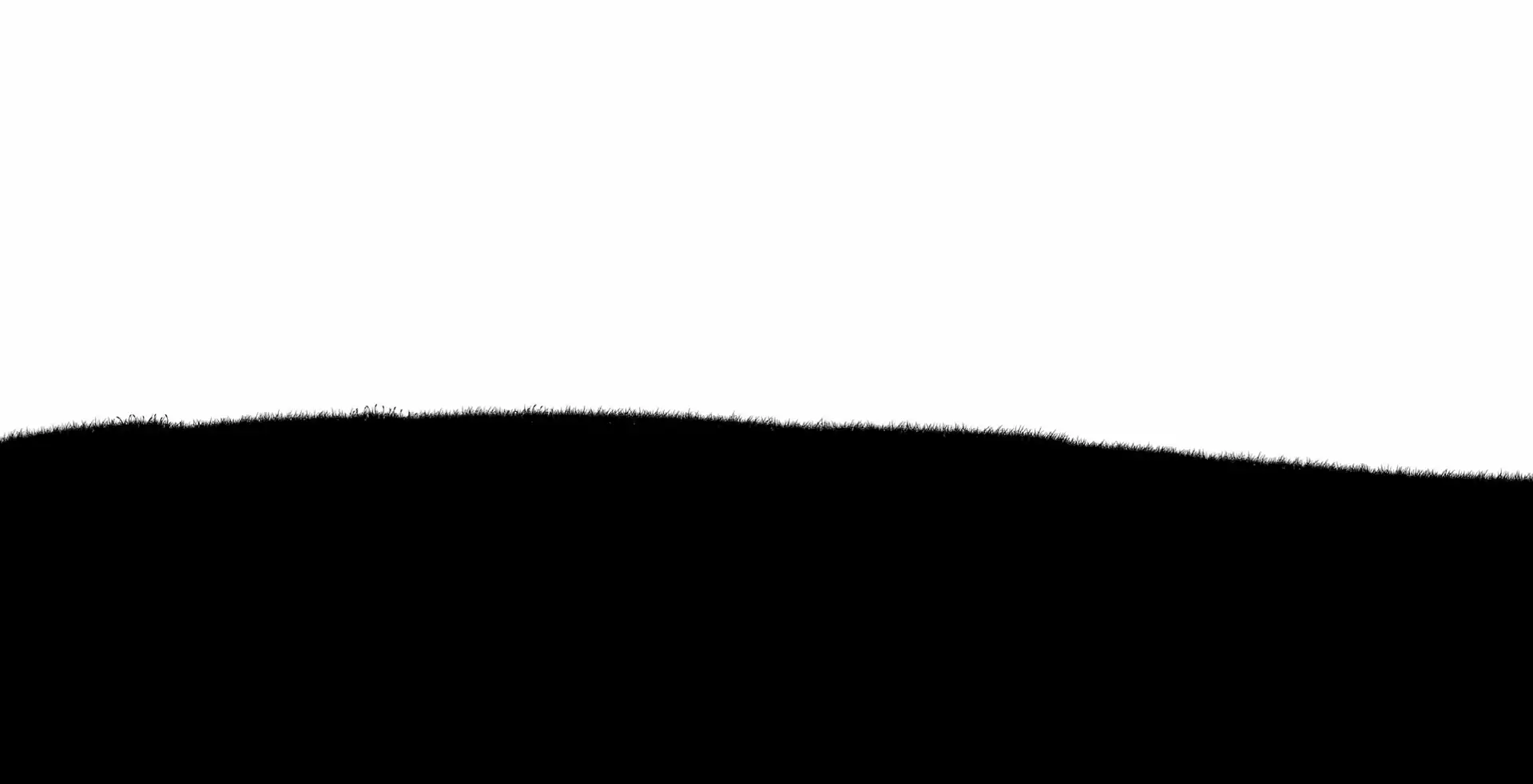 1608 1103x1074y Just grass.png