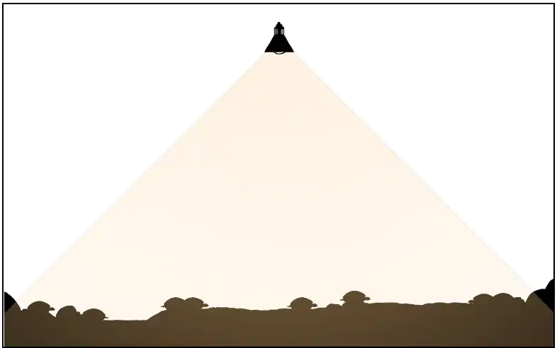 1663 garden One color Orange 12h.png