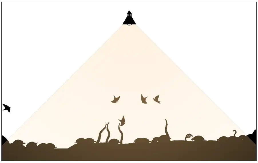 1663 garden One color Orange 6d.png