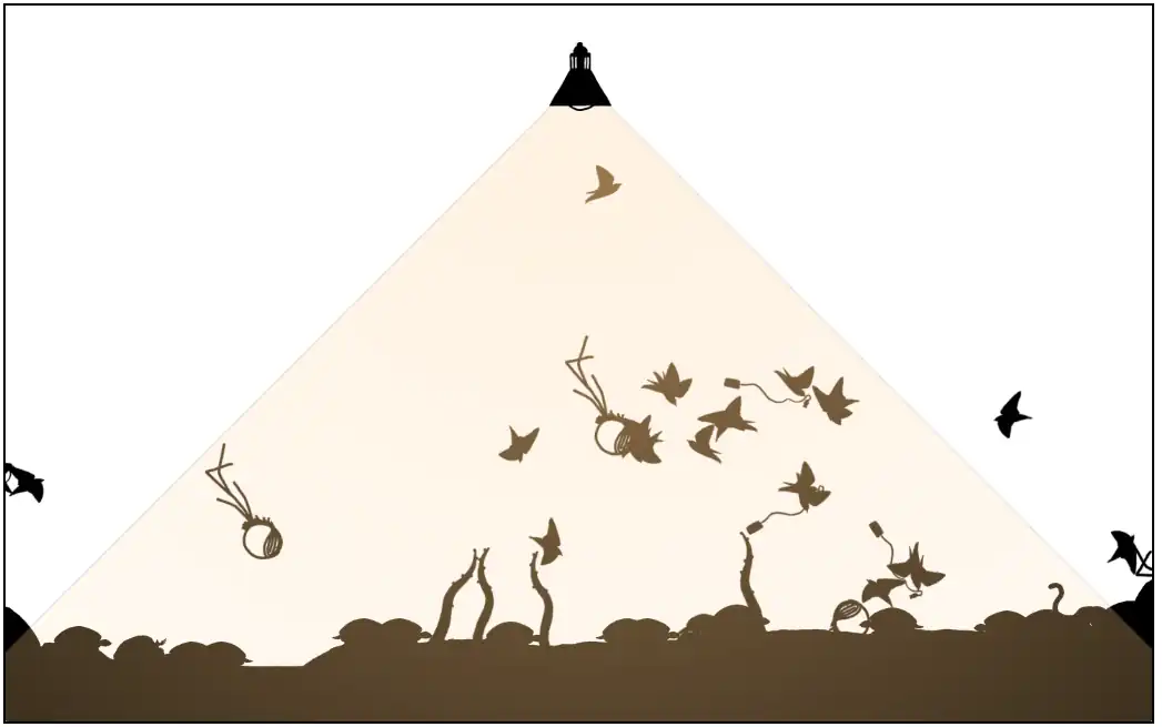 1663 garden One color Orange 9d.png