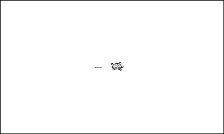 2601 Crawling turtle.png