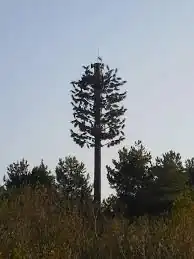 Cell Tower Tree