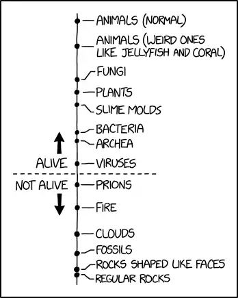 Computer viruses currently fall somewhere between prions and fire.