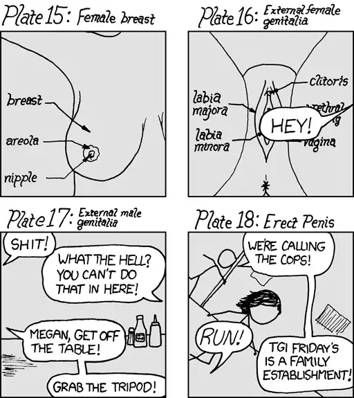 For many of the anatomy pictures on Wikipedia, I think this is actually not far from reality. They only look all formal and professional due to careful cropping.