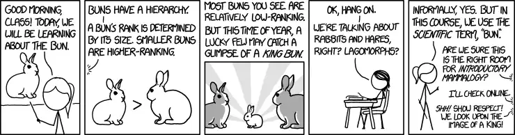 If a wild bun is sighted, a nice gesture of respect is to send a 'BUN ALERT' message to friends and family, with photographs documenting the bun's location and rank. If no photographs are possible, emoji may be substituted.