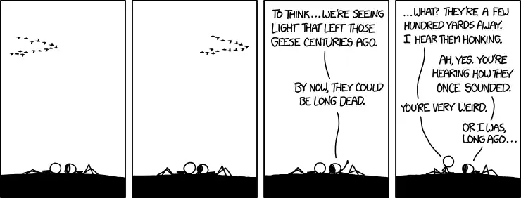 Anyway, that's a common misconception. Geese live for a long time; all the ones we can see will probably keep flying around for billions of years before they explode.