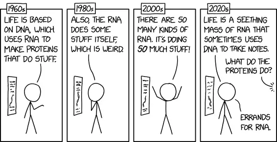 2040s: RNA formed the basis for life each of the five known times it arose on the early Earth.