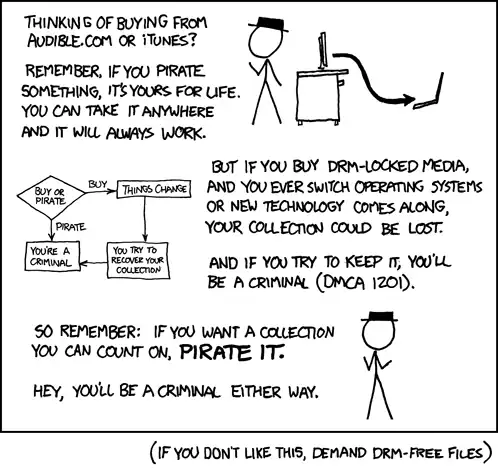 I spent more time trying to get an audible.com audiobook playing than it took to listen to the book. I have lost every other piece of DRM-locked music that I ever paid for.
