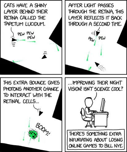 Using a reflective wall in a game to give one shot two chances to hit is called a double-tapetum lucidum.