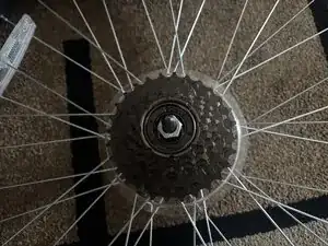 Freewheel
