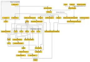 Image illustrating flowchart of pathophysiology of acne
