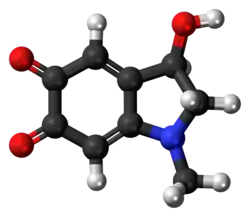 Ball-and-stick model of the adrenochrome molecule