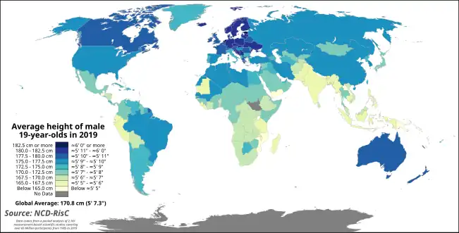 Estimated average height of male 19-year-olds by country in 2019 according to NCD-RisC