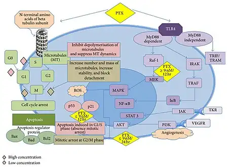 Mechanism of action[27]