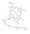 bacteriochlorophyll d