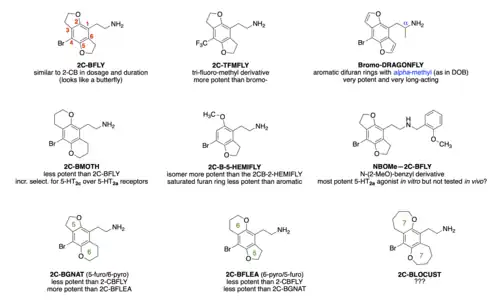 2C-B-FLY and some selected analogues (SAR)