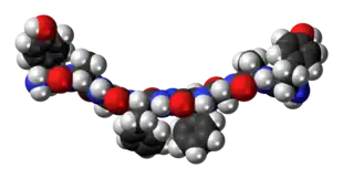Space-filling model of Biphalin