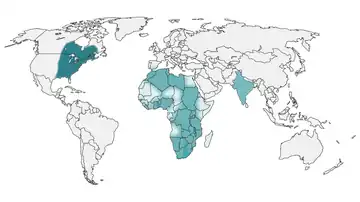 Approximate areas with Blastomyces in the world