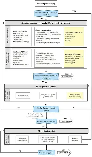 Comprehensive rehabilitation protocol for brachial plexus injury[33]