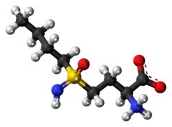 Ball-and-stick model of buthionine sulfoximine as a zwitterion